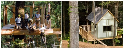 building-treehouse-lg